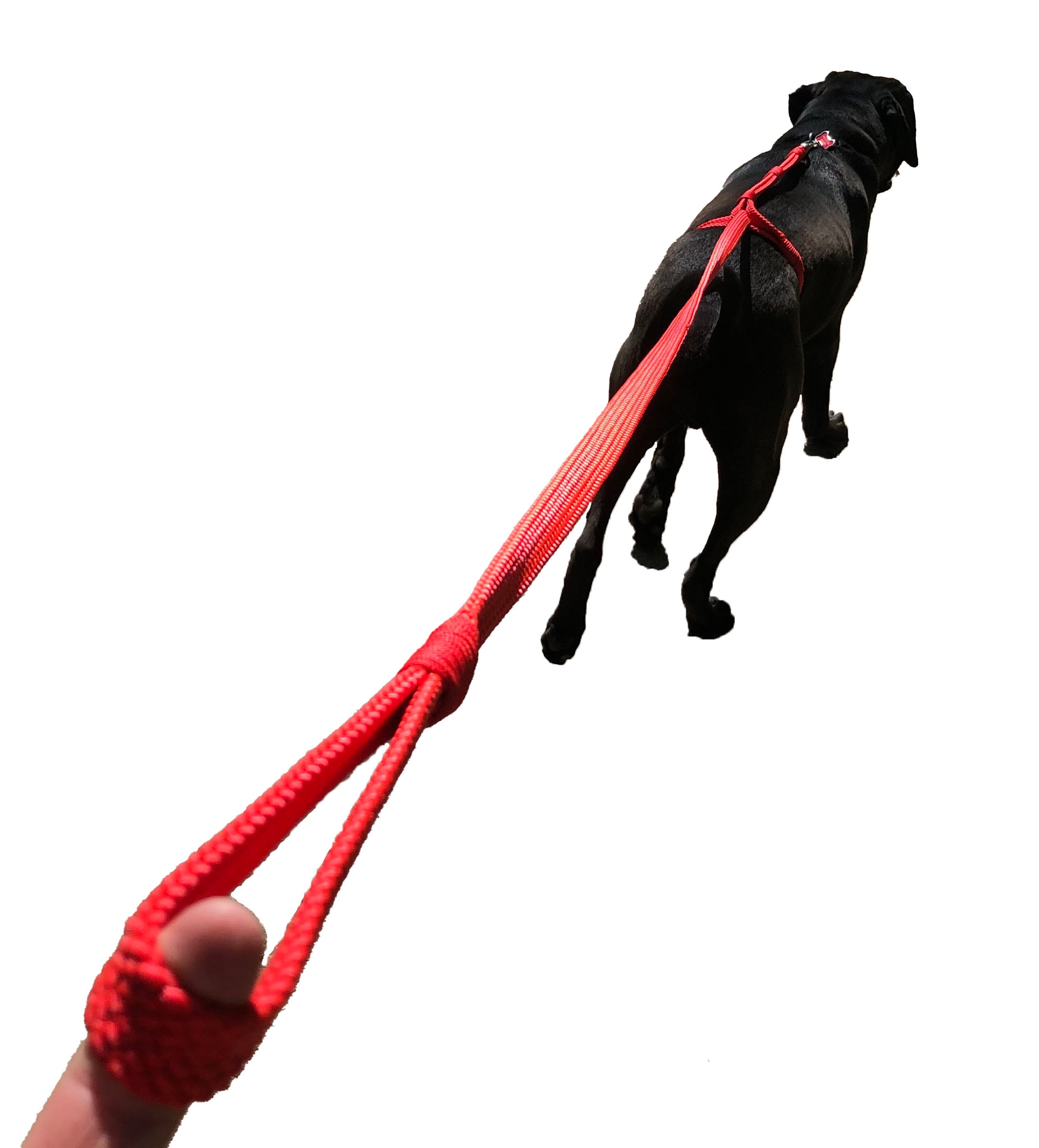 The RED Satori NoPull Dog Leash™️