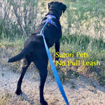 The Pacific Blue Satori No Pull Dog Leash™️